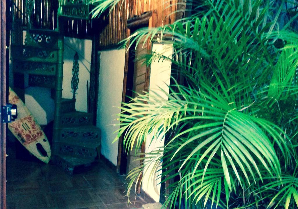אילהה גראנדה Canto Do Buganville מראה חיצוני תמונה